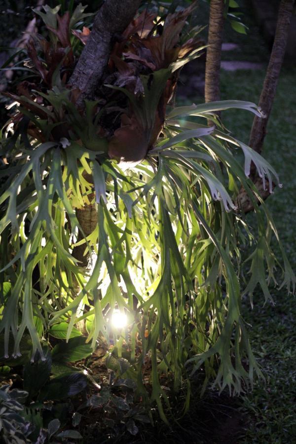 Sari House Ubud - Balinese Style Homestay Exterior foto